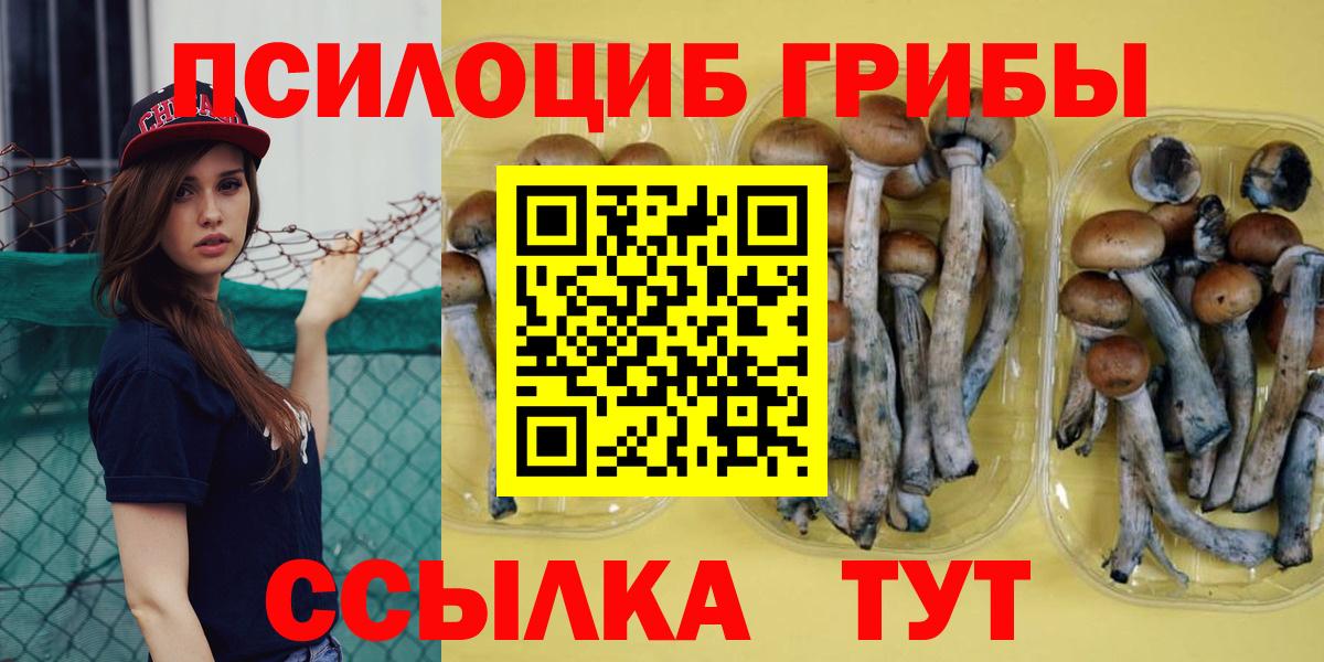 Заводоуковск  Галлюциногенные грибы мицелий  Вход с VPN 