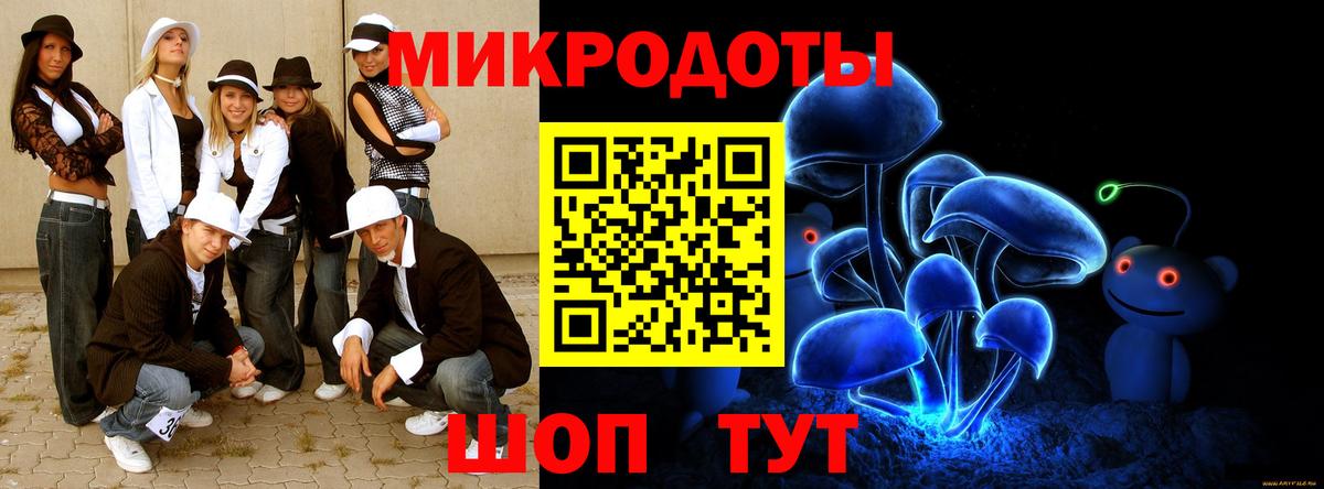 Галлюциногенные грибы мицелий Заводоуковск